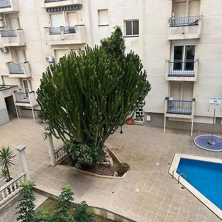 Vitrall 3 * Sant Carlos de la Ràpita